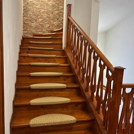 Hotel Ibar Boroveț