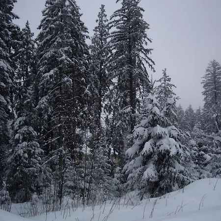 Hotel Ibar Borovets