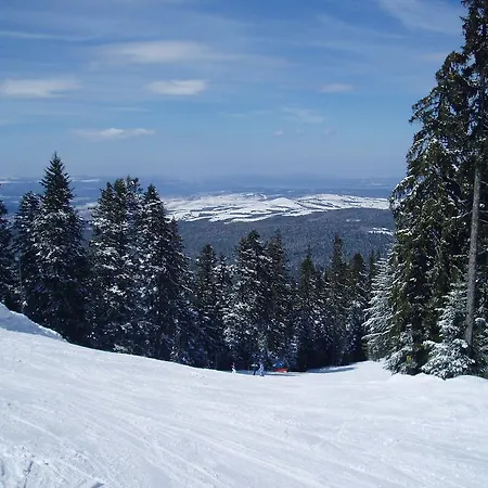 Ibar 3* Borovets